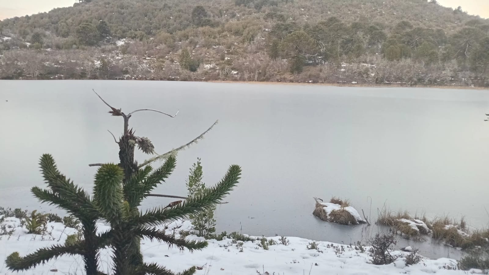 L Coihuilla Congelada 02
