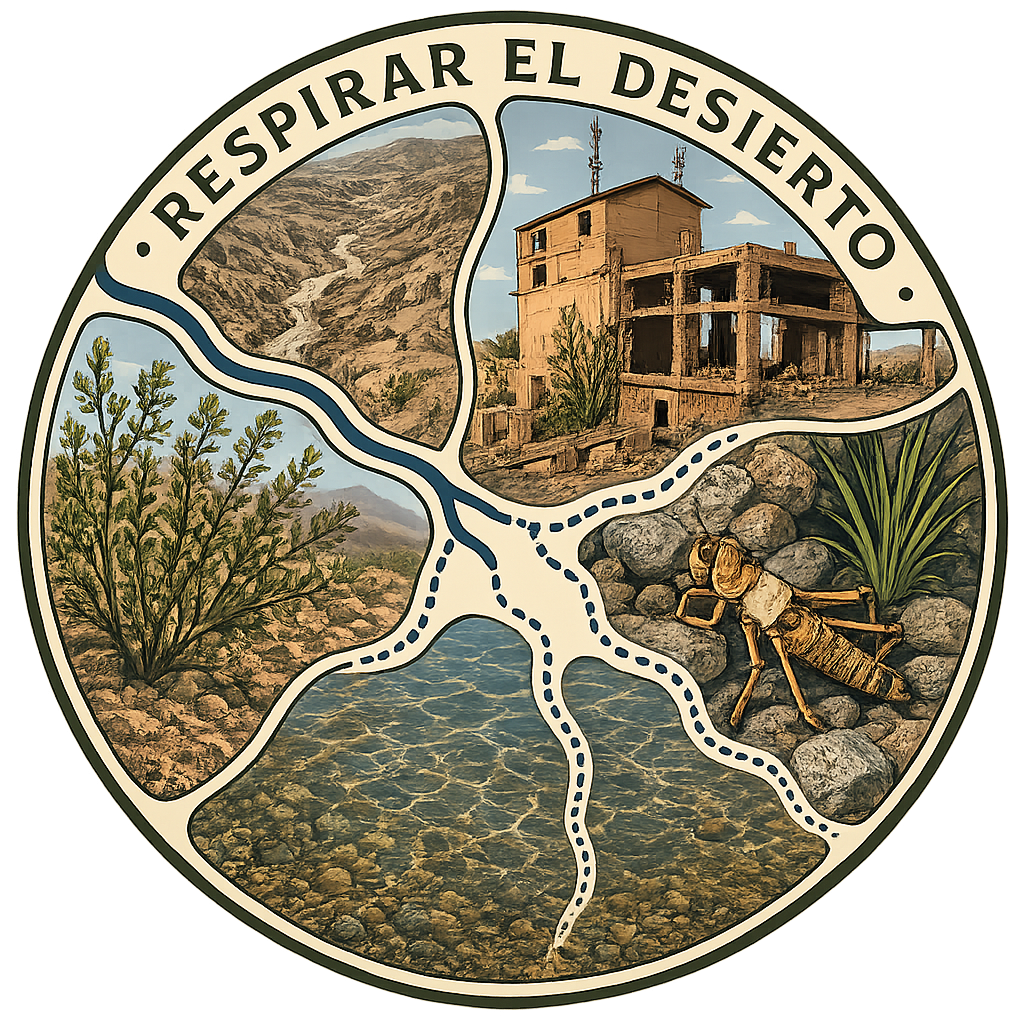 Logo Respirareldesierto Sinfondo
