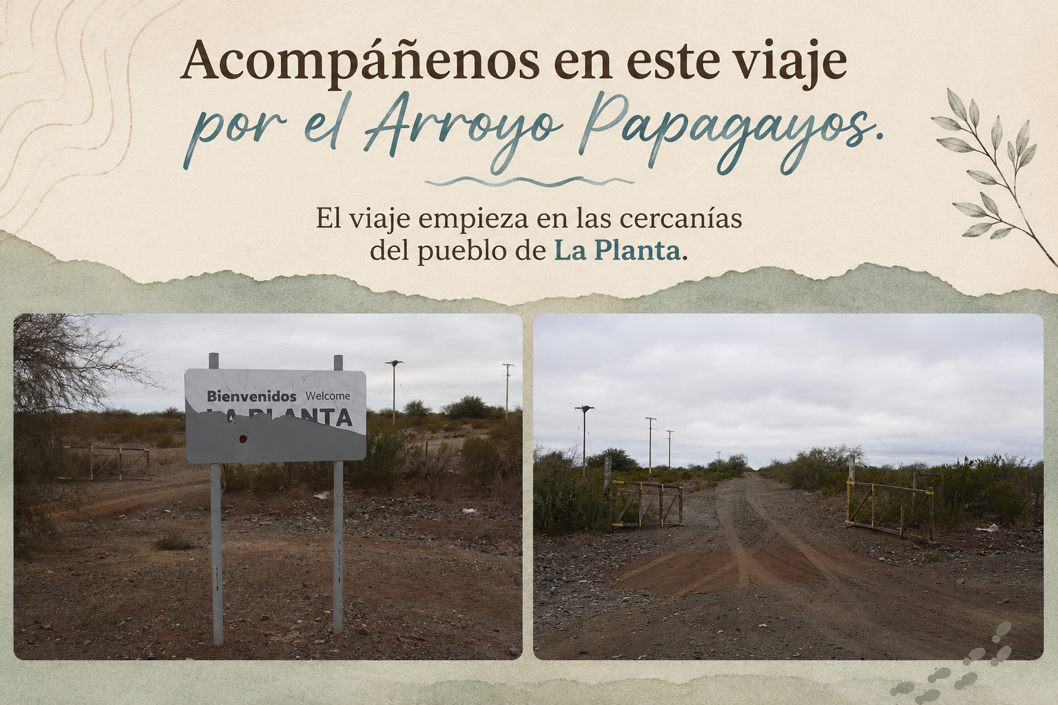 Arroyo Papagayos