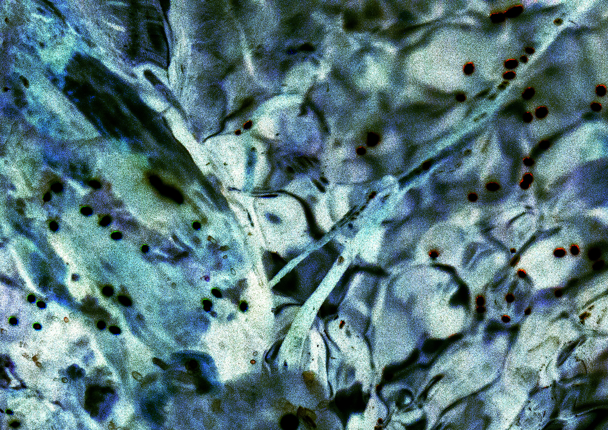6A
