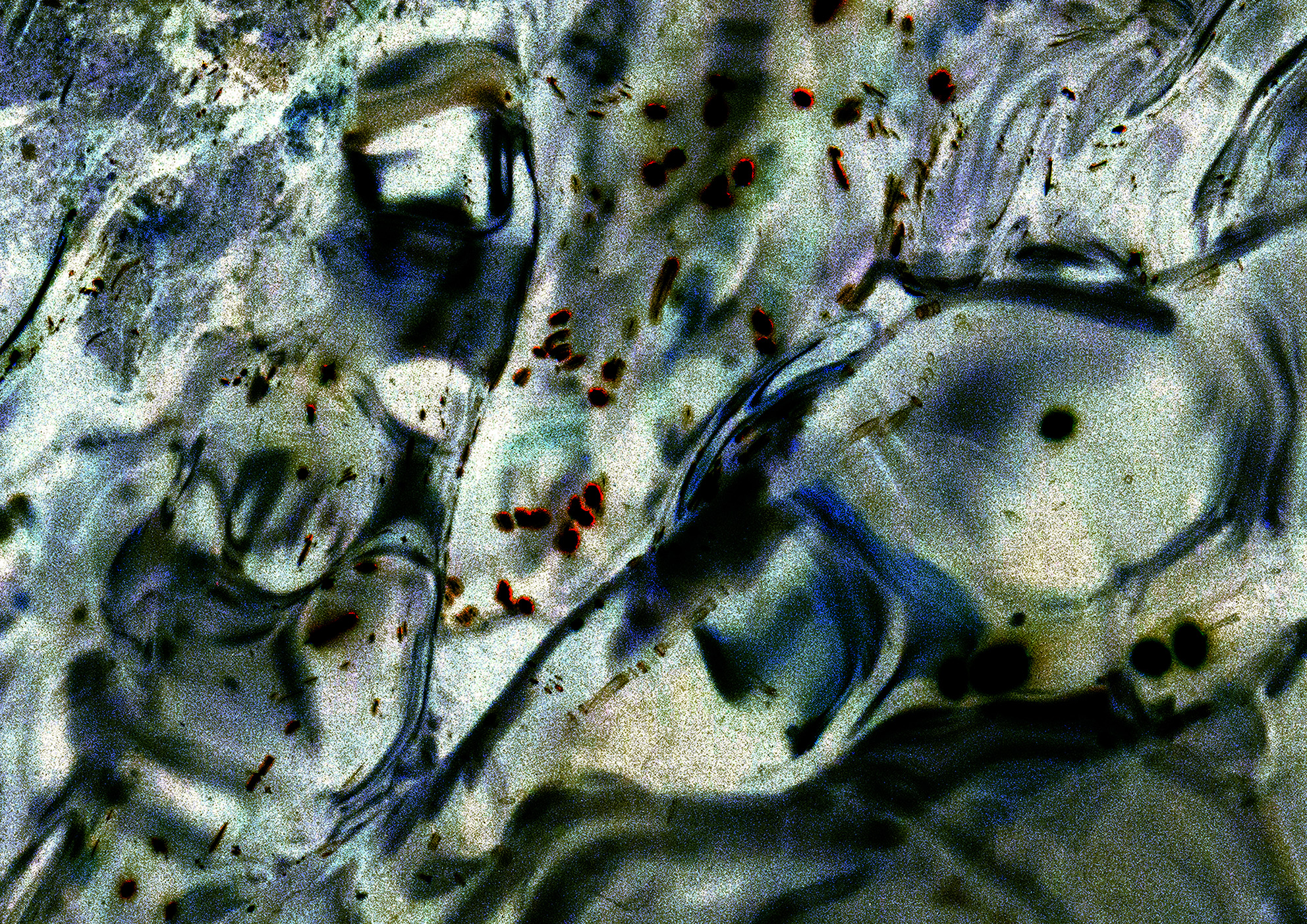 8A