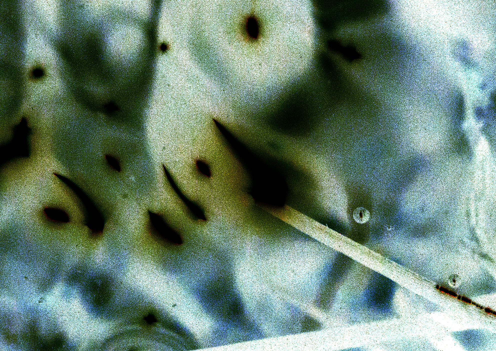 19A