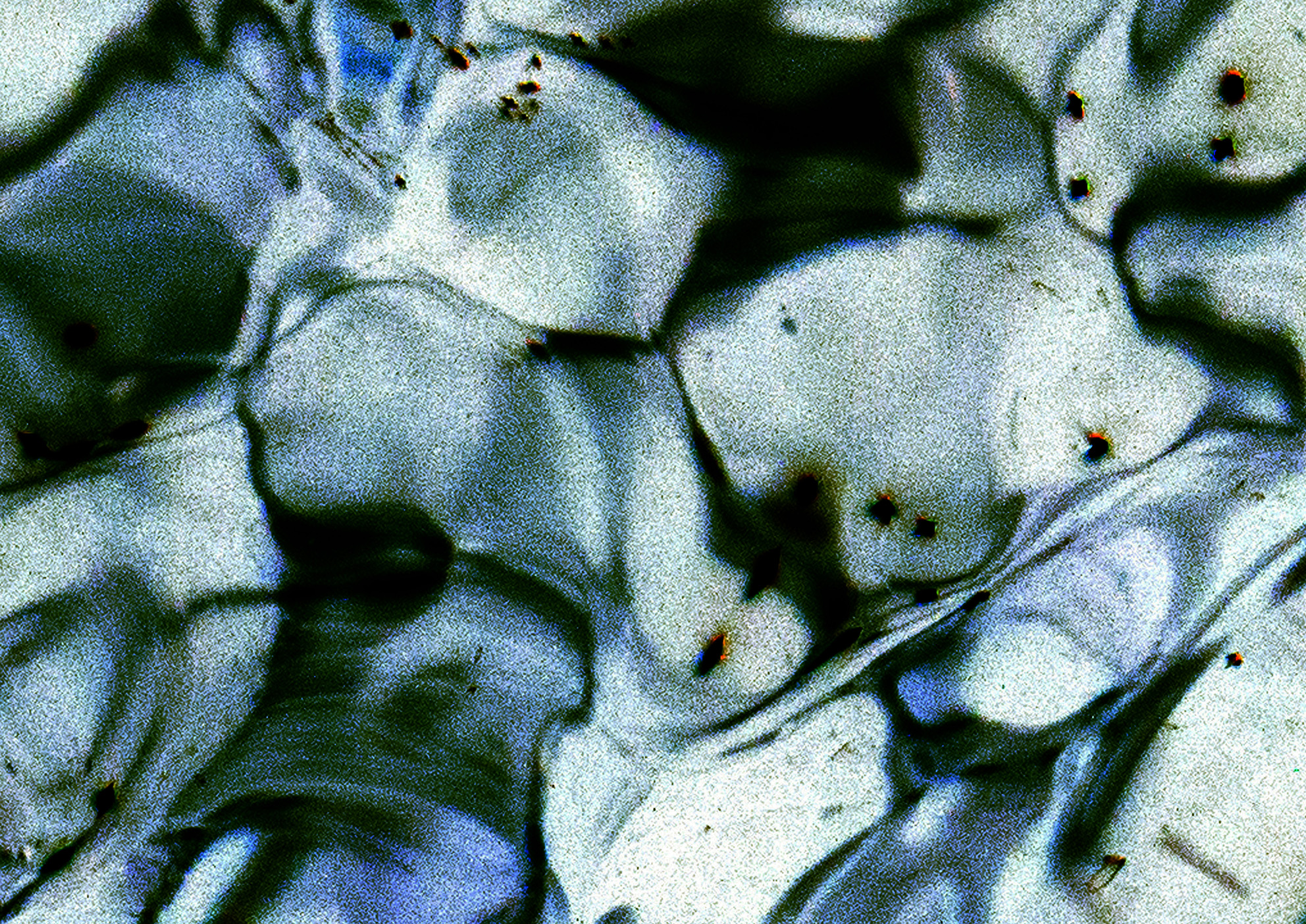 25A