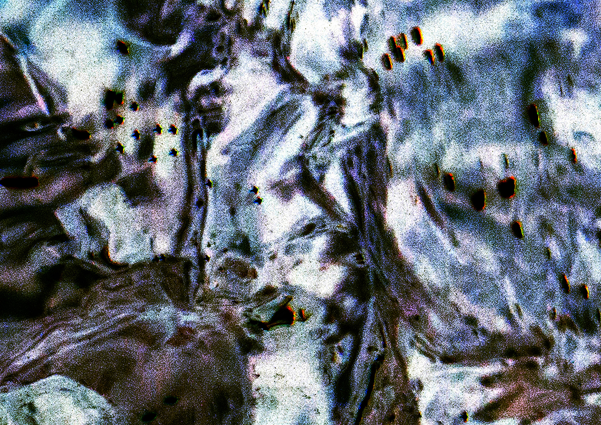 26A