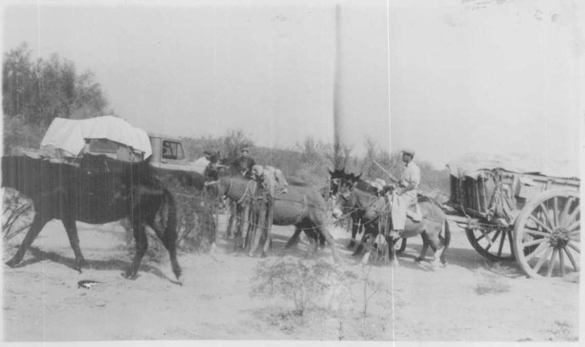 Archivo Histórico (2)